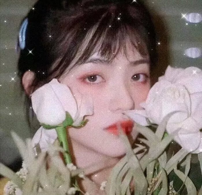 挚爱之路