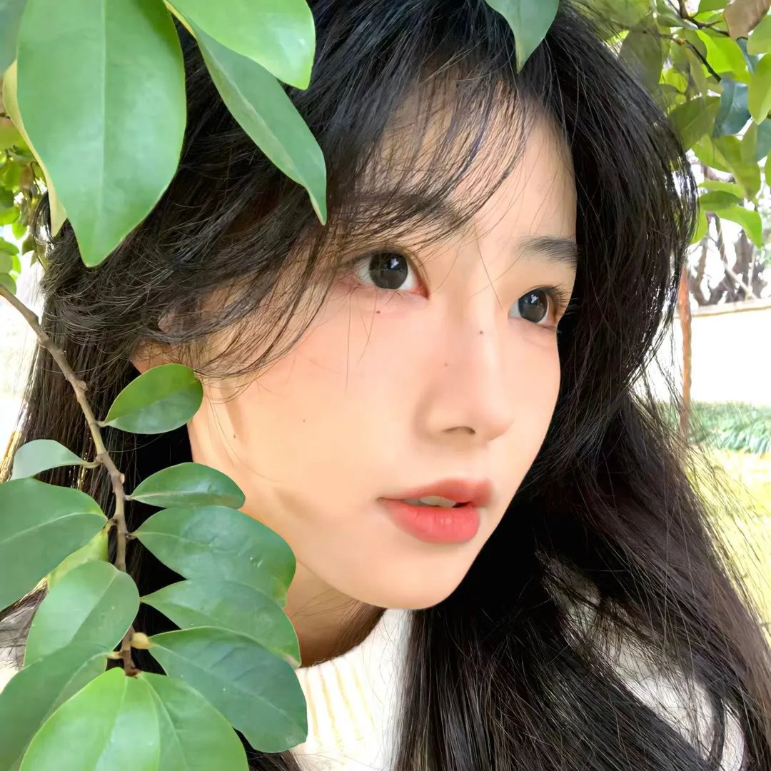 青出于蓝国语